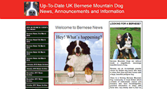 Desktop Screenshot of bernesenews.btik.com